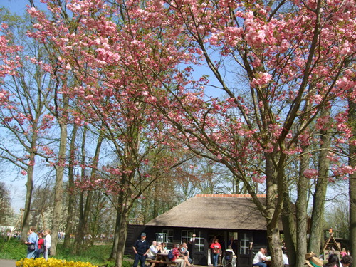 2007_0417オランダ0591