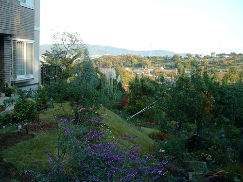 2007_1202Ƴλºµ¢¤êGH0056