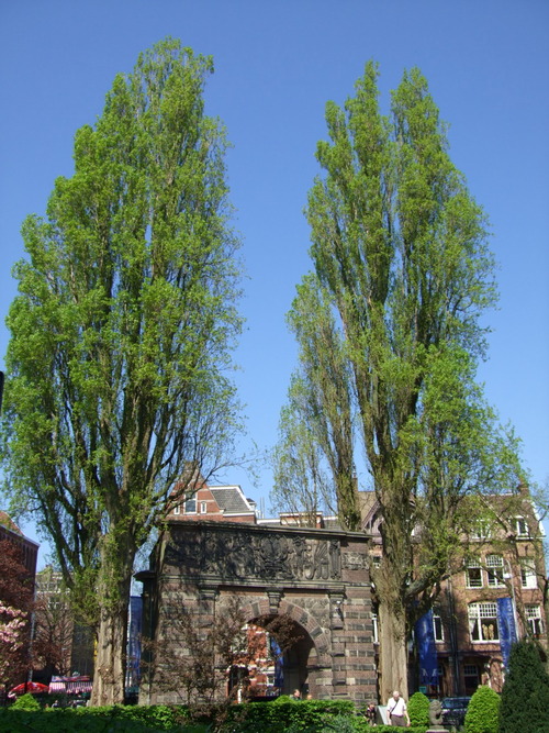 2007_0417オランダ0697