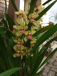 2010_0122����0010