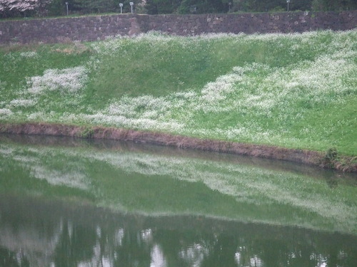 2008_0402H19��0082