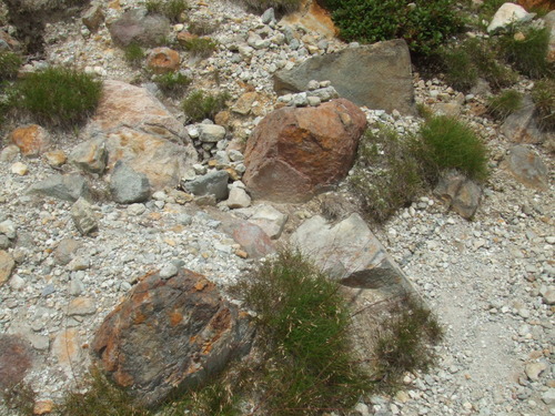 2006_0808�򺬻�0033