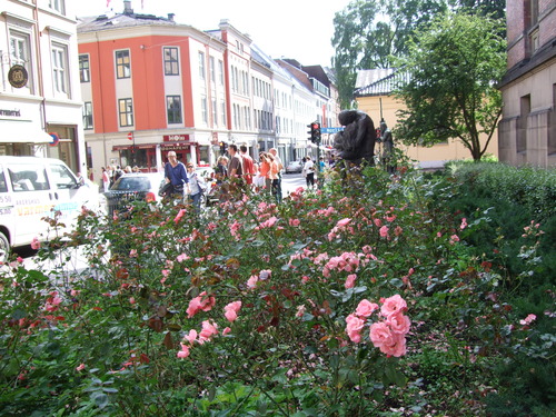 2009_0807�̲�FINEPIX0074