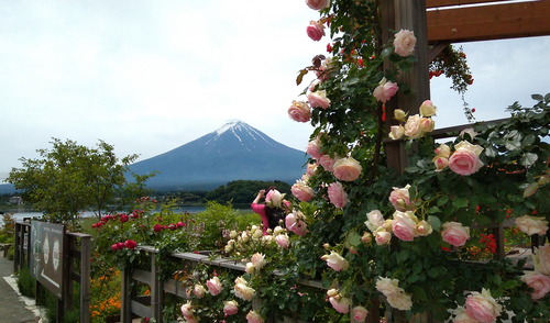 IMG_20220616_110328
