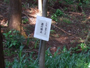 2012_0513河村城0101