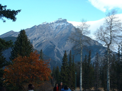 2005_1024�Σ�30042