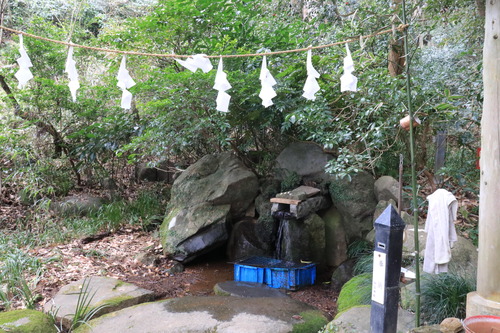 IMG_1235(1)