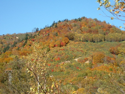 DSCF0023