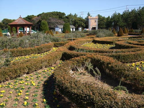 2008_0218南房総0087