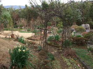 2010_0122����0002