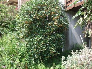 2011_1003�뤫��0007