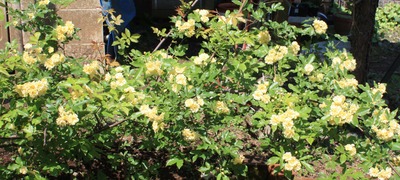 ��å����Х�