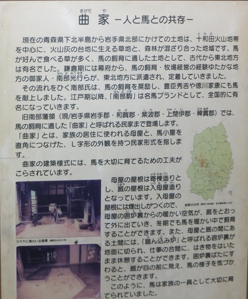 DSCF8283_0000