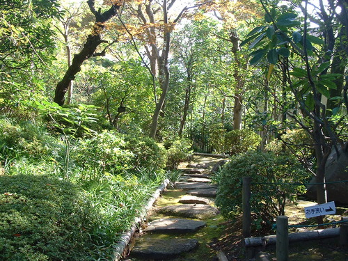 2007_1004¾®Åĸ¶ÈͶ£²0025