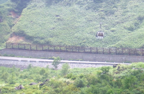 2006_0808�򺬻�0050