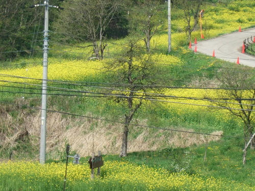 2007_0509¿®½£0134