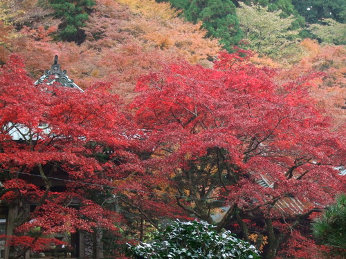 2007_1202¹ä»Ë¾»»Òº§Ìó0111