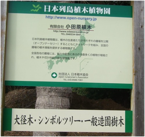 小田原植木