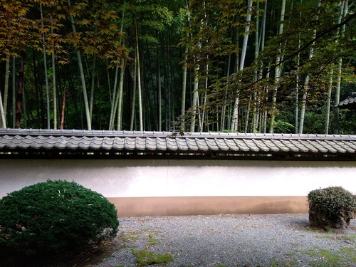 IMG_20200512_160423_BEAUTY