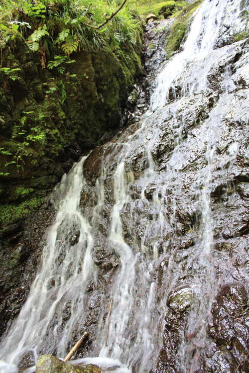 IMG_3128
