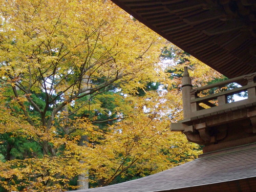 2007_1202¹ä»Ë¾»»Òº§Ìó0131