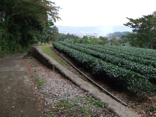 2007_1103¾®Åĸ¶ÈͶ10003