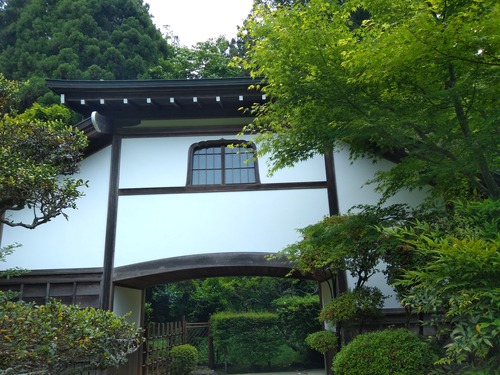 IMG_20200512_161300_BEAUTY