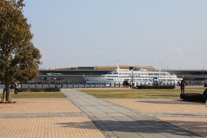 IMG_0590