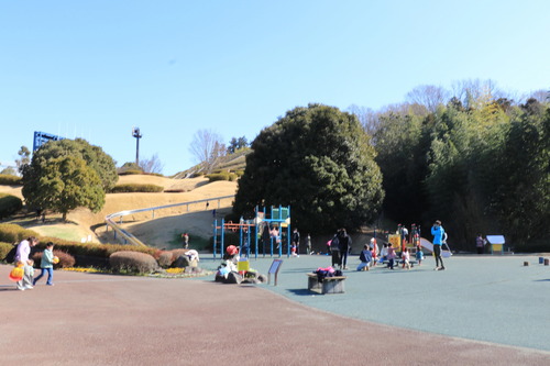 IMG_2614(1)
