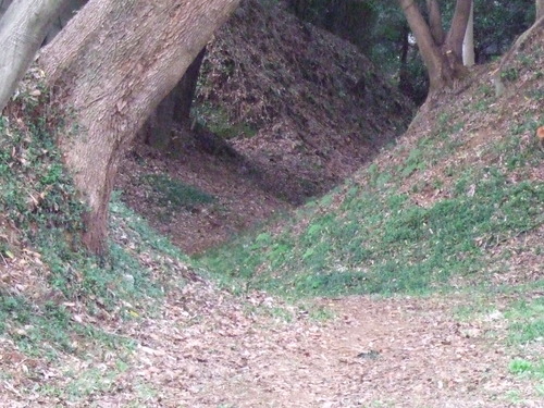 2007_1103¾®Åĸ¶ÈͶ10021