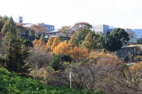 小田原〜板橋 (61)