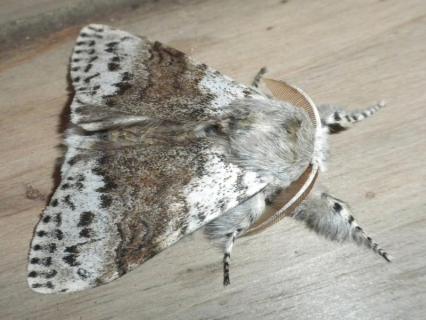 dokug0016_convert_20130720181646s