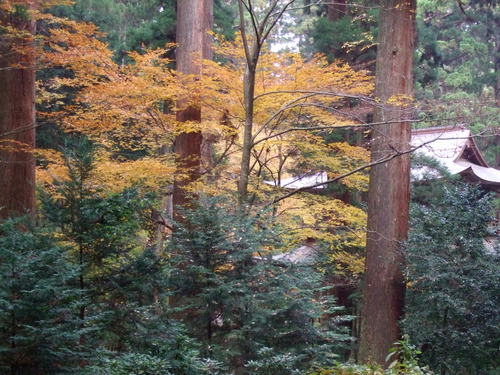 2007_1202¹ä»Ë¾»»Òº§Ìó0062