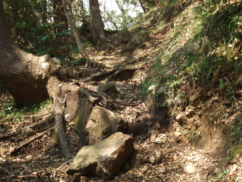 2011_1011¾ÅÆîÊ¿0035