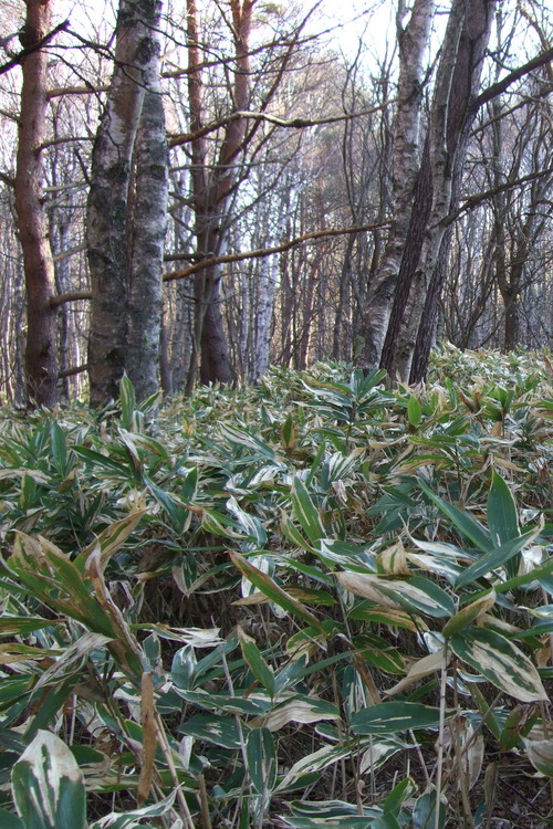 2007_0509¿®½£0157