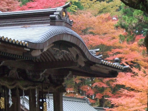 2007_1202¹ä»Ë¾»»Òº§Ìó0093