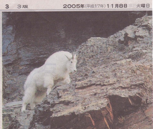 �ޥ���ƥ󥴡���