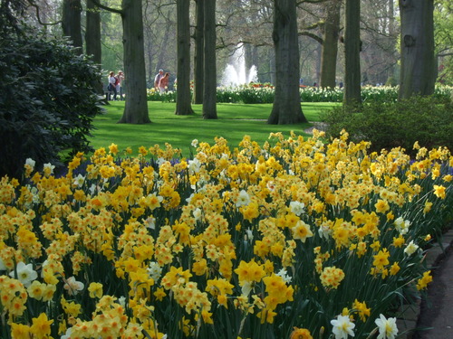 2007_0417オランダ0631
