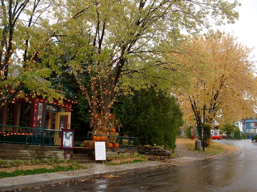 2005_1020첽ٻΥե०0054