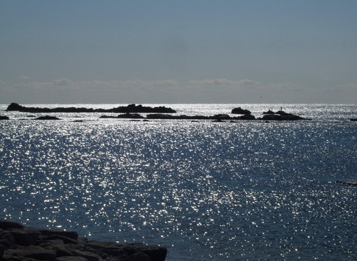 2008_0218南房総0078