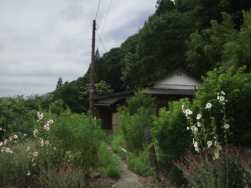 DSCF0679