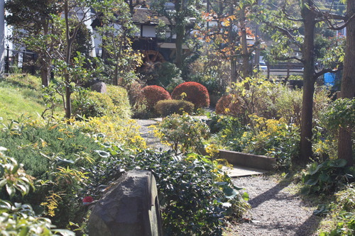 ���ĸ����Ķ� (35)