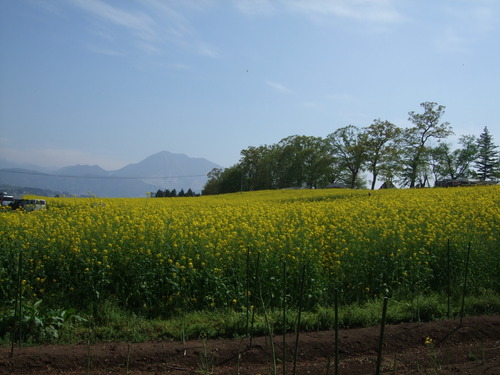 2007_0509¿®½£0137