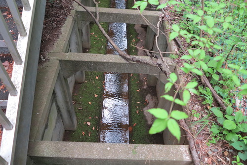 IMG_2176 - ���ԡ�