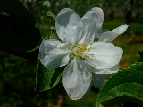 2007_0509¿®½£0131