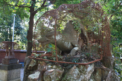 ���ĸ����Ķ� (11)