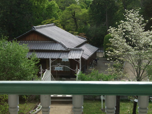2008_0423熊本0039