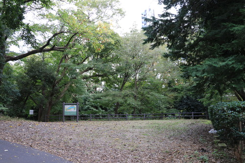 IMG_8862(1)
