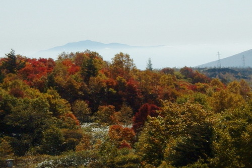 DSCF0014