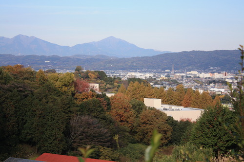 ���ĸ����Ķ� (85)